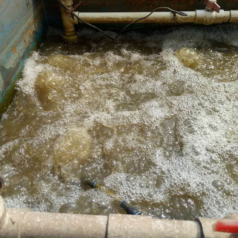 Wastewater Wastewater